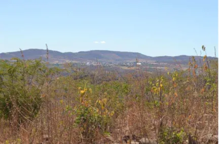 Figura 11 - A cidade de Manaíra vista do Sítio Fonseca 