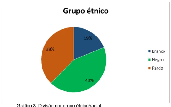 Gráfico 3. Divisão por grupo étnico/racial. 