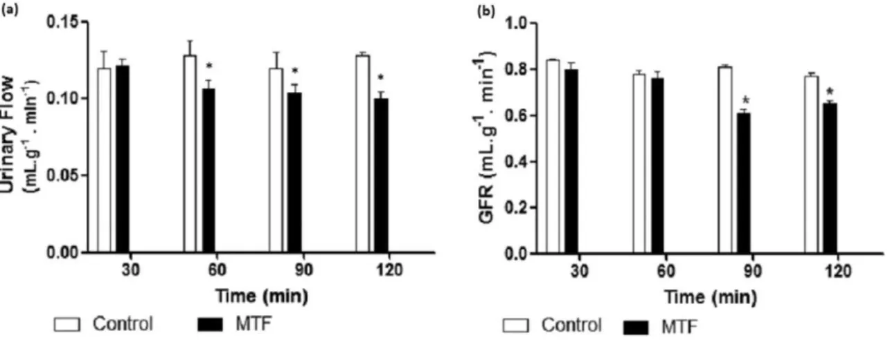 Fig. 1. Determination of urinary ﬂ ow (a) and glomerular ﬁ ltration rate— GFR (b) of control and treated with methylphenidate (MPD) groups (N = 6)