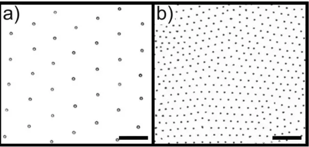 Figure 1.1: One component monolayers of silica particles with diameter (a) 3µm and (b) 1µm at a horizontal octance/water interface