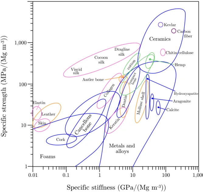 Figura 2: Ashby plot of the specific values (that is, normalized by density) of strength and stiffness (or Young’s modulus) for both natural and synthetic materials[2]