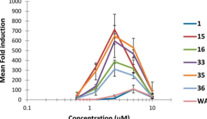 Figure 3. Concentration-dependent induction of heat-shock reporter activity by WA and its ﬁ ve most active analogues