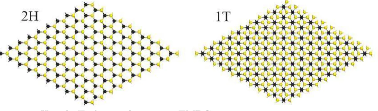 Figure 10: 2H and 1T phases of a generic TMDC.