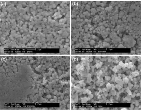 Fig. 5 SEM micrographs for Ba x Sr 1–x Fe 12 O 19 hexaferrites sintered at 1.100 ° C/5 h: (a) BFO100, (b) BFO60, (c) BFO30, (d) SFO100