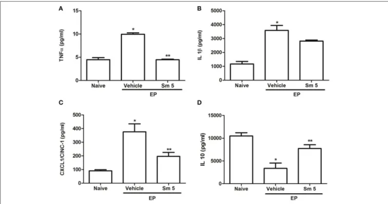 FIGURE 3 | Effects of Sm 5 mg/kg and saline + DMSO (vehicle) on TNF-α (A), IL-1β (B), CINC-1 (C) and IL-10 (D) in gingival tissues levels