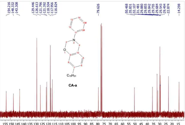 Figure 10 -  13 C NMR spectrum of CA-a 