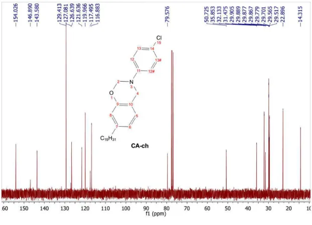 Figure 12 -  13 C NMR spectrum of CA-ch 