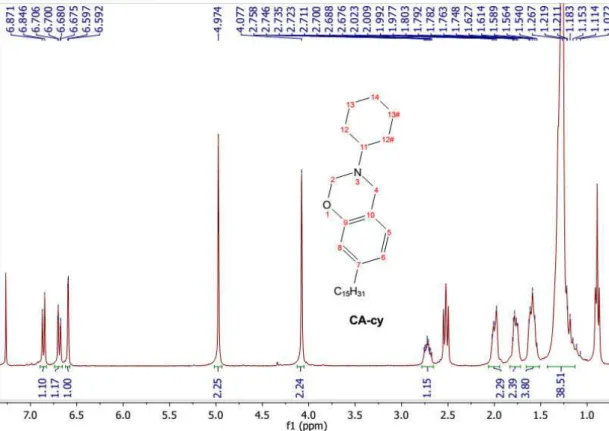 Figure 13 -  1 H NMR spectrum CA-cy 