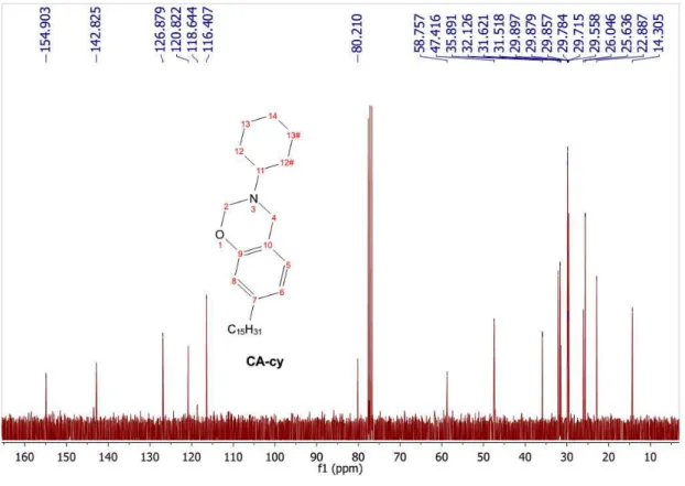 Figure 14 -  13 C NMR spectrum of CA-cy 