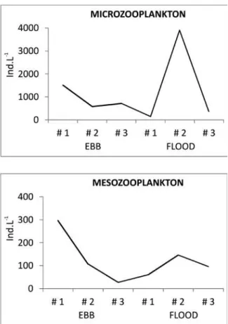Figure 3 - Total microzooplankton- (a) and mesozooplankton  abundance (ind L -1 ) (b) along the period and area sampled,  showing a decrease from the outer (#1) to the inner station  (#3) during the ebb tide and the peaks in abundance at the  intermediate 