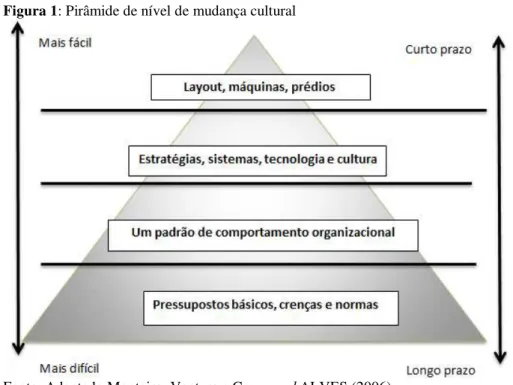 Figura 1: Pirâmide de nível de mudança cultural 