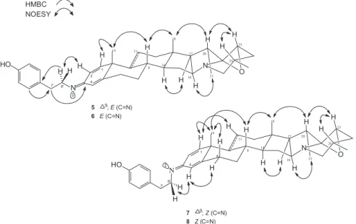 Fig. 3. Key NOESY and HMBC correlations of compounds 5–8.
