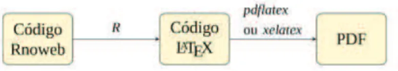 Figura 2: Processamento de código Rnoweb