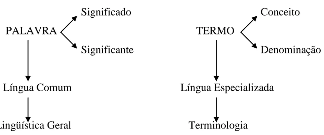 Figura 1 –  Palavra e termo. 
