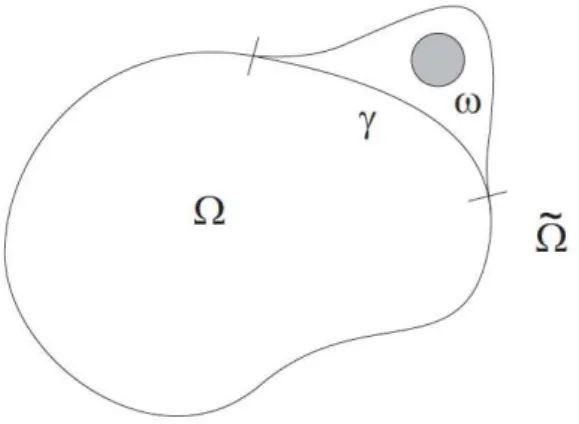 Figura 3.2: The domain Ω ˜ and the subdomain ω.