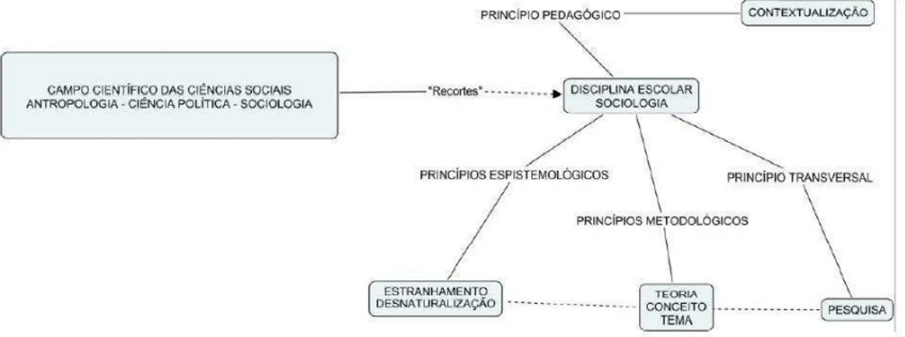 Figura 4  –  Tipo ideal de transposição didática das Ciências Sociais em disciplina escolar