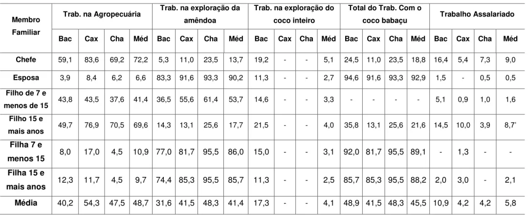 Tabela 5  –  Porcentagem  da média de dias trabalhados por atividade por tipo de membro familiar, por família (média) e por municípios (bacabal, caxias e  chapadinha) - 1978  –  Estado do Maranhão