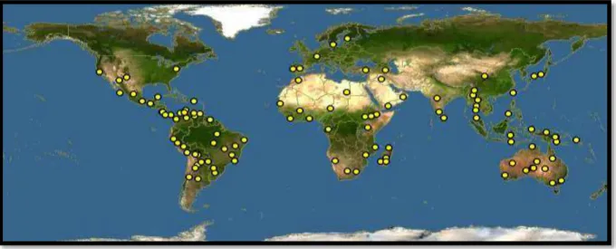 Fig. 01 – Distribuição geográfica da família Malvaceae representada pelas áreas em amarelo 