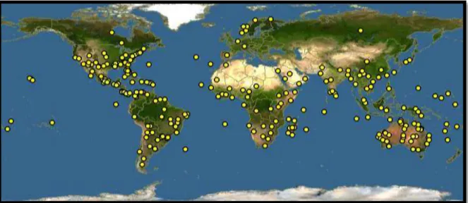 Fig. 03 - Distribuição geográfica do gênero  Sida  representada pelas áreas em amarelo 