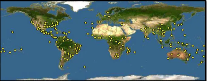 Fig.  04  –  Distribuição  geográfica  da  espécie  Sida  rhombif oli a   representada  pelas  áreas  em  amarelo 
