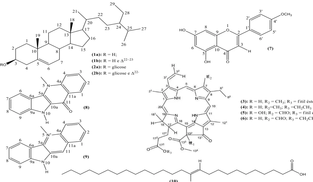 Fig. 06 – Substâncias isoladas de  Sida rhombifolia  L.  