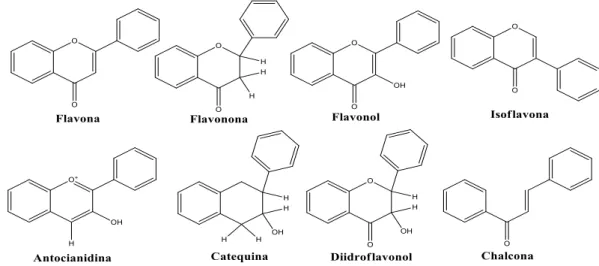 Fig. 07  –  Estrutura básica de flavonoides 