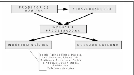 Figura 11: Cadeia agroindustrial da mamona  Fonte: Silva e Lino (2008) 