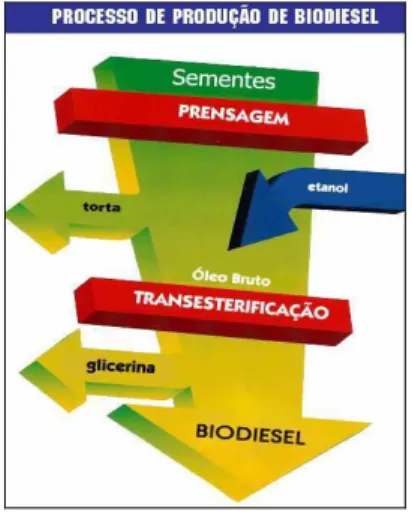 Figura 07: Etapas do processo de produção de Biodiesel  Fonte: Portal Biodiesel Brasil (2009) 