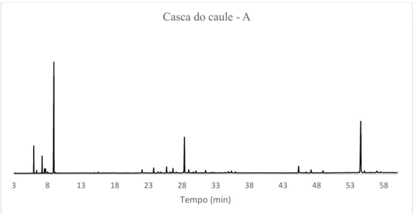 Figura 43: Cromatograma do óleo essencial da casca do caule (espécime A) de X. 