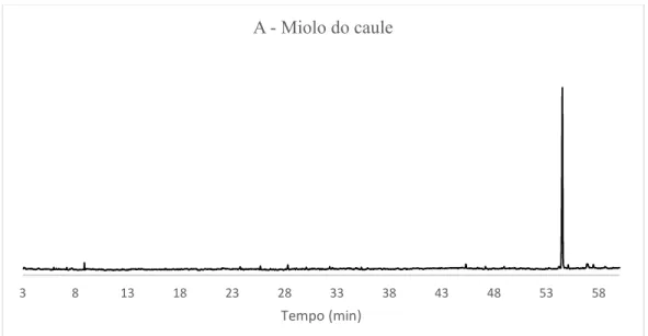Figura 47: Cromatograma do óleo essencial do miolo do caule (espécime A) de X. 