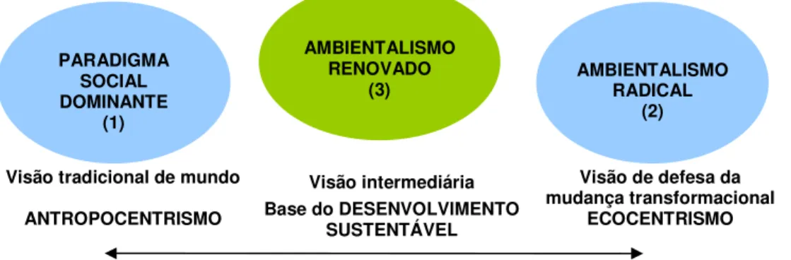 Figura 1 - Enfoques da relação Homem-Natureza  Fonte: adaptado de Egri e Pinfield (2007)   