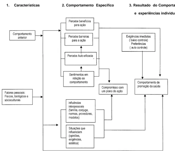 Figura 1 - Diagrama do Modelo de Promoção a Saúde. Traduzido de Health Promotion in Nursing Practice (19)