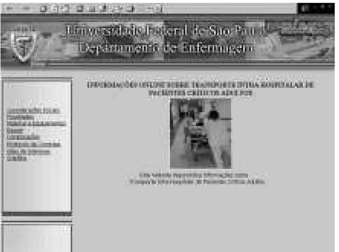 FIGURA 1 - Página inicial do website de transporte Intra- Intra-hospitalar de Pacientes Críticos Adultos, SP, 2003.
