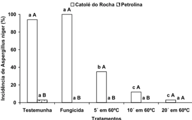 Figura 1. Incidência de Aspergillus niger em sementes de Amburana 