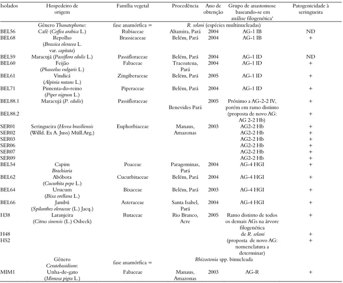 Tabela 1. Grupos de anastomose de isolados de Rhizoctonia solani (fase teleomórfica Thanatephorus cucumeris) e de Rhizoctonia spp