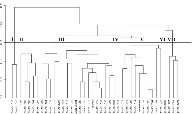 Figura 1.  Dendrograma de dissimilaridades genéticas entre 40 acessos de tomateiro do grupo cereja, obtido pelo método UPGMA com base no  algoritmo de Gower, a partir de quatro caracteres qualitativos e nove quantitativos
