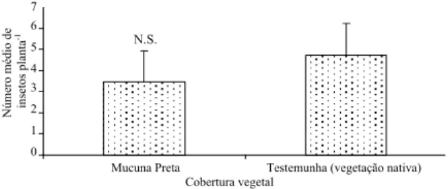 Figura 1. Número médio (± EP) de cistos da pérola-da-terra 