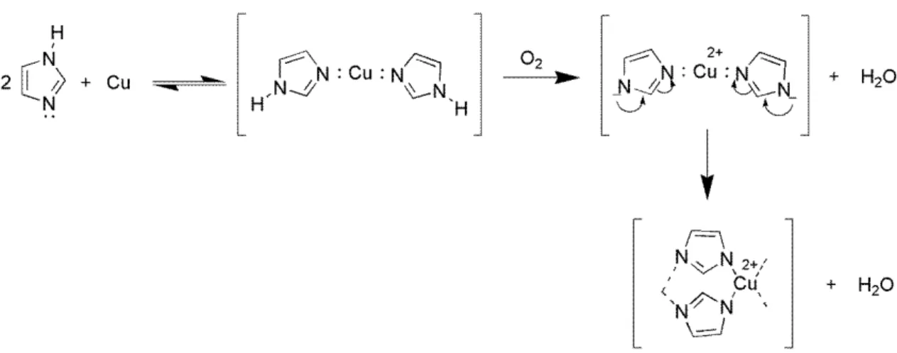 Figura 4 – Compostos azólicos com atividade anticorrosiva. 