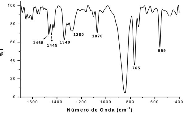 FIGURA 08 – Espectro vibracional na região do infravermelho do complexo cis- cis-[Ru(bpy) 2 ImNNO 2 ](PF 6 ), de 1700 a 400 cm -1 