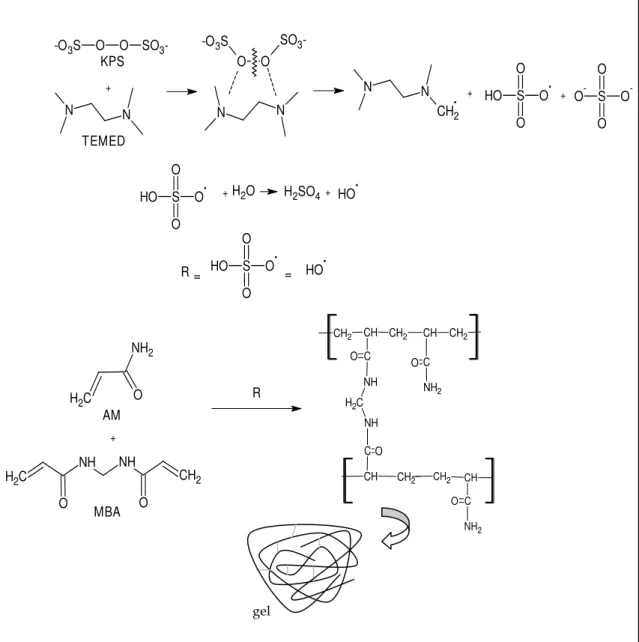 Figura  25.  Representação  da  reação  de  polimerização  e  reticulação  da  acrilamida  (SOLOMONS, 2009)