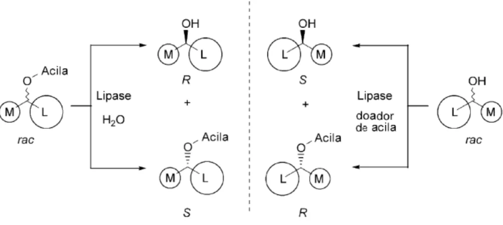 Figura  2 –  Enantiopreferênia  prevista  por  Klazlaukas  para  reações  de  acilação  de  alcoóis  e  hidrólise  de  ésteres racêmicos (GOTOR-FERNÁNDEZ, BRIEVA &amp; GOTOR, 2006)