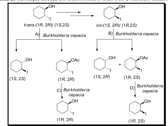 Figura 6-Produtos naturais que possuem núcleo cromano-4-ol