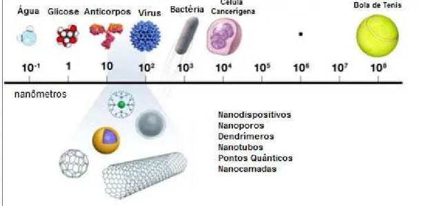 Figura 1. Materiais em diferentes escalas de tamanho, destacando aqueles em escala nanométrica (10  a 100 nm)