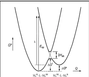 Figura 09  –  Diagrama de energia versus coordenadas  nucleares para uma transferência eletrônica adiabática e  assimétrica [79-81]