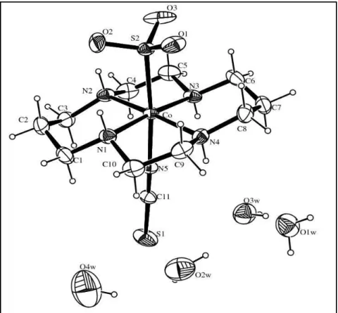 Figura  14  -  Diagrama  ORTEP  [113] da  unidade  assimétrica  do  complexo trans-[Co III (cyclam)(SO 3 )(NCS)]·4H 2 O  apresentando os átomos com 30% de probabilidade elipsóide.