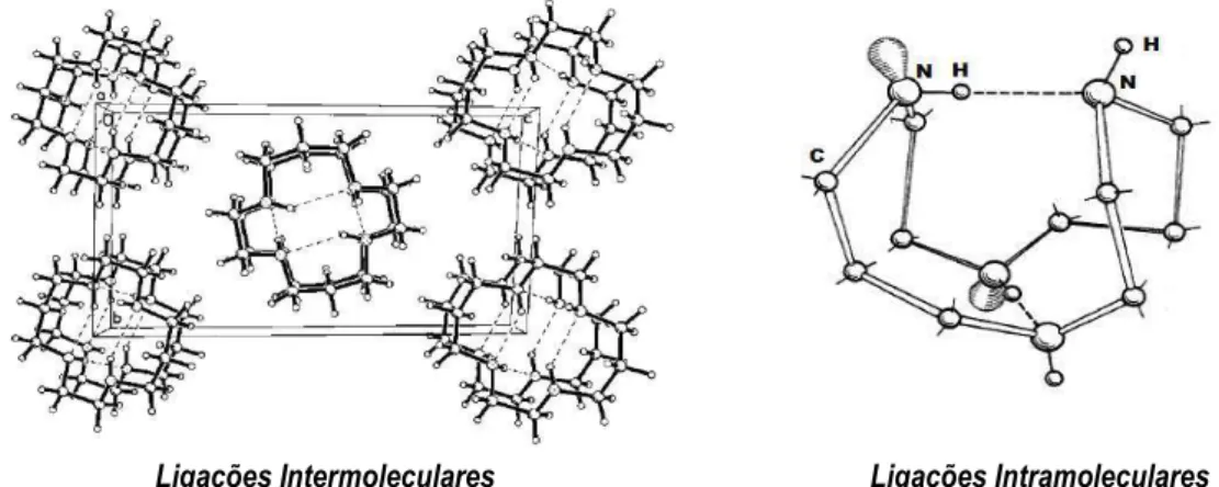 Figura 22- Disposição das possíveis ligações de hidrogênio nas moléculas do ligante cyclam [138, 139]