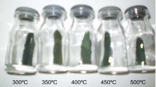 Figura 6.11. Foto das amostras de cloreto com NaOH calcinadas por 1h.