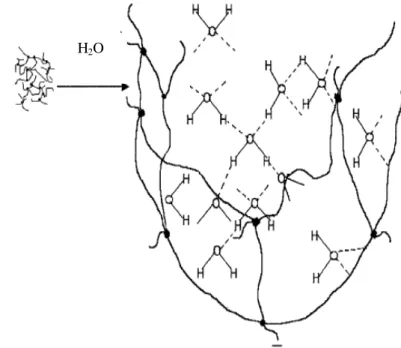 Figura  10.  Formação  da  rede  tridimensional  do  hidrogel  com  o  processo  de  intumescimento (SILVA, 2006)
