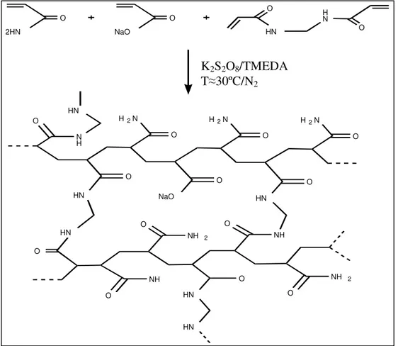 FIGURA  6:  Possível  estrutura  para  a  rede  polimérica  do  hidrogel  por  (KULICKE  e  NOTTELMANN, 1989)