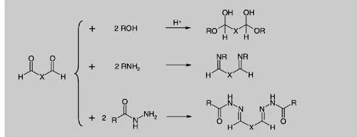 FIGURA 2  –  Reticulação de polímeros contendo os grupos álcool, amina ou hidrazina (R  representa a cadeia polimérica)
